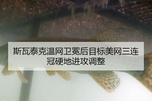 si-wa-tai-ke-wen-wang-wei-mian-hou-mu-biao-mei-wang-san-lian-guan-ying-di-jin-gong-tiao-zheng-2-618.jpg