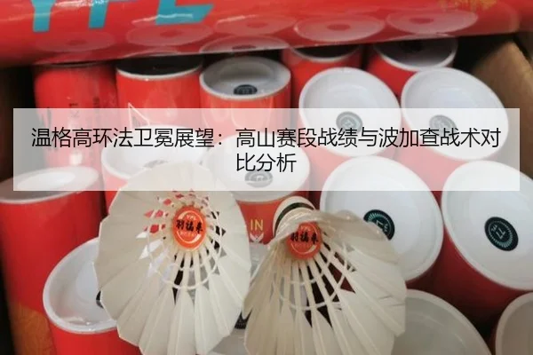 wen-ge-gao-huan-fa-wei-mian-zhan-wang-gao-shan-sai-duan-zhan-ji-yu-bo-jia-cha-zhan-shu-dui-bi-fen-xi-2-519.jpg
